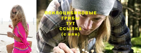 экстази Дмитров